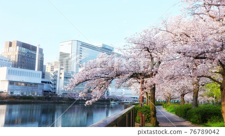 Osaka Tenmanbashi Spring scenery along the Okawa 76789042