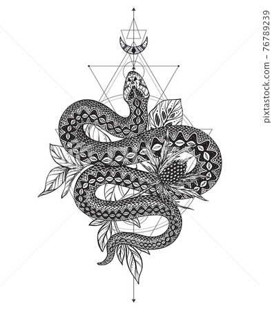 Vector illustration of black and white snake, feverweed flower, moon, sacral geometric simbols isolated on white background. 76789239