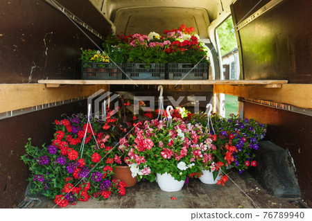Potted flowers transported in a van to be sold at a farmers market 76789940