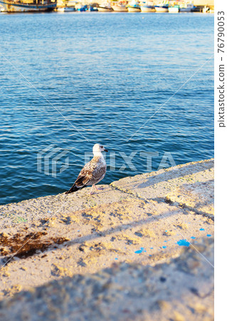 Beautiful panoramas of Nessebar. Bulgaria-sun, sea, beach 76790053