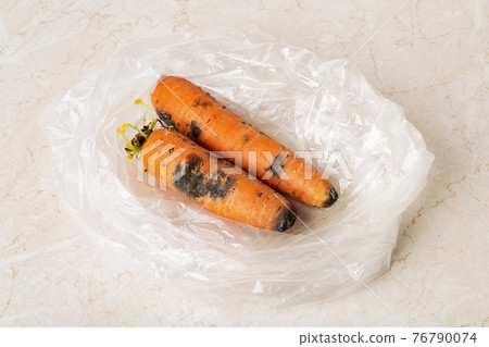 Black mold stains on two raw carrots in a plastic bag on a kitchen table. Black mold stains on two raw carrots in a plastic bag on a kitchen table. 76790074
