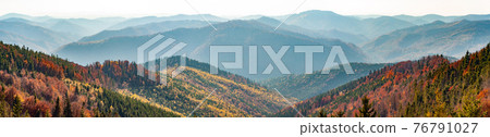Panorama hills mountain range covered with forest. Nature Carpathians, Ukraine mountain wilderness landscape, warm autumn day Panorama hills mountain range covered with forest. Nature Carpathians, Ukraine mountain wilderness landscape, warm autumn day 76791027