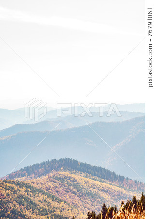 Mountain wilderness landscape, panorama hills mountain range covered with forest, warm autumn day October, blue haze on horizon. 76791061