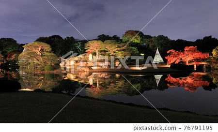 [東京] 六義園紅葉燈火通明 76791195