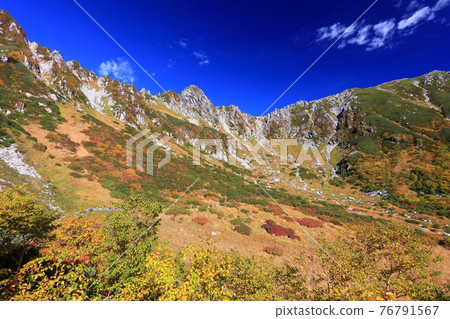 [Nagano Prefecture] Komagatake Senjojiki Curl at the peak of autumn colors 76791567