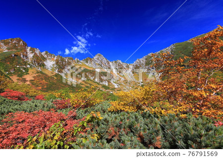 [長野縣]駒岳千疊敷捲曲在秋天的色彩高峰 76791569