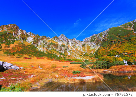 [Nagano Prefecture] Senjojiki curl upside-down colored leaves 76791572
