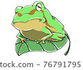 A still sleepy tree frog awakening from hibernation and riding on a leaf 76791795