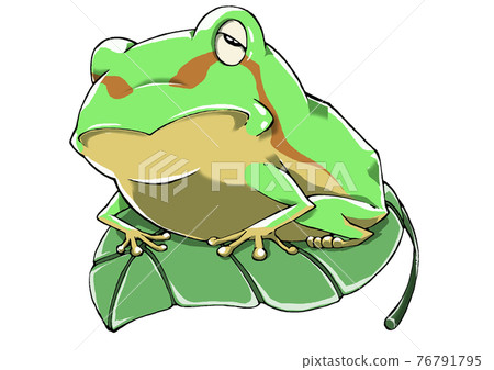 一隻仍然昏昏欲睡的樹蛙從冬眠中醒來，騎在樹葉上 76791795