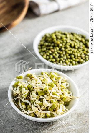 Sprouted green mung beans and dried beans in bowl. Mung sprouts Sprouted green mung beans and dried beans in bowl. Mung sprouts 76791897