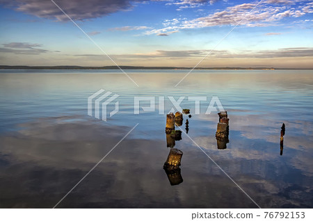 Dead tree stumps In the water Dead tree stumps In the water 76792153