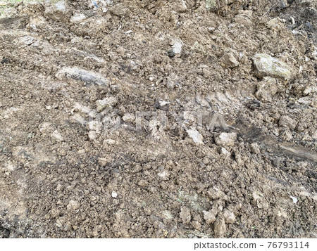 Texture of a brown, crumbly, loose, dense, fertile, natural, dry earth with granules, pieces of soil. The background Texture of a brown, crumbly, loose, dense, fertile, natural, dry earth with granules, pieces of soil. The background 76793114