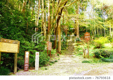 茨城縣櫻花花瓣和粉紅色的寺廟入口 76793618