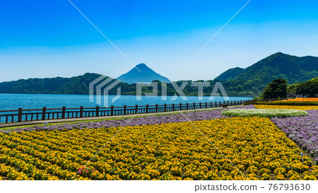 Lake Ikeda_Kyushu's largest lake Satsuma Fuji You can enjoy seasonal flowers including rape blossoms in December overlooking Kaimondake volcano. Lake Ikeda_Kyushu's largest lake Satsuma Fuji You can enjoy seasonal flowers including rape blossoms in December overlooking Kaimondake volcano. 76793630