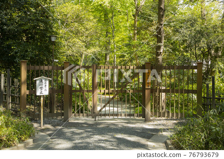 明治神宮北參道明治神宮味噌木 76793679