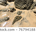 Sea coast, large gray stones on golden sand, washed by a wave 76794188