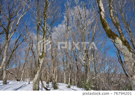 《Okayama Prefecture, Tottori Prefecture》 Winter season, Takashimizu Trail scenery 《Okayama Prefecture, Tottori Prefecture》 Winter season, Takashimizu Trail scenery 76794201