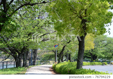 一條路 一條路 76794229