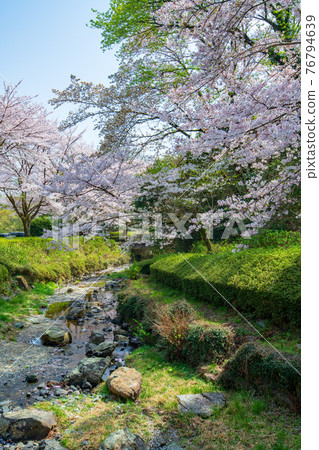 Satoyama Spring Suzumegawa Dam Lake Park Satoyama Spring Suzumegawa Dam Lake Park 76794639