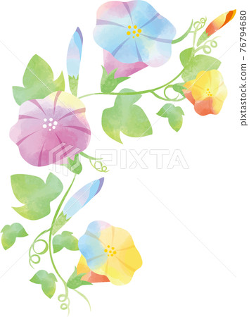 Watercolor-style morning glory background material Scandinavian watercolor frame ivy vine 76794680
