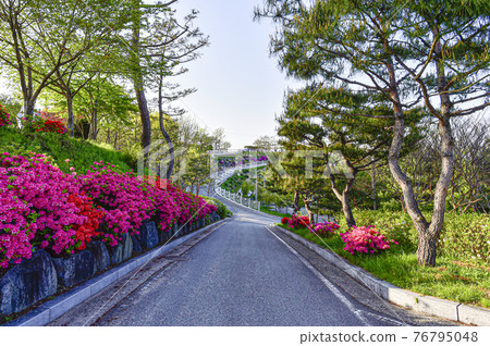 江京玉女峰公園的春天 76795048