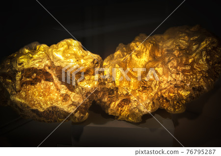 Big gold squirrel close-up Big gold squirrel close-up 76795287