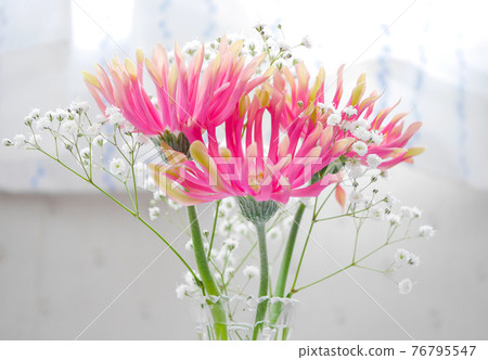 Gerbera and Kasumi grass vase 03 76795547