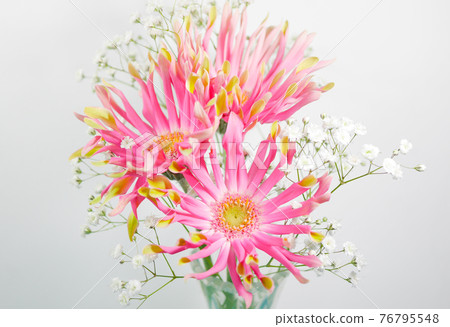 Gerbera and Kasumi grass vase 04 Gerbera and Kasumi grass vase 04 76795548