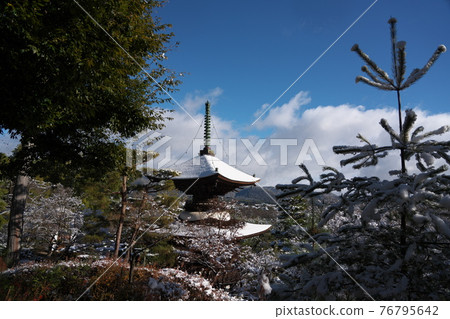 Jojakkoji Temple Kyoto scenery Jojakkoji Temple Kyoto scenery 76795642
