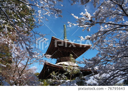 Jojakkoji Temple Kyoto scenery Jojakkoji Temple Kyoto scenery 76795643