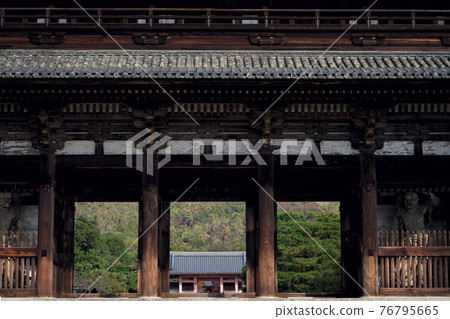 仁和寺京都風光 仁和寺京都風光 76795665