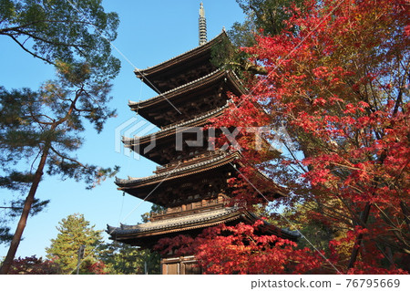 仁和寺京都風光 76795669
