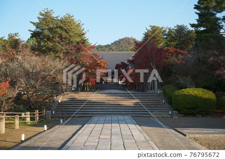 Ninnaji Temple Kyoto scenery 76795672