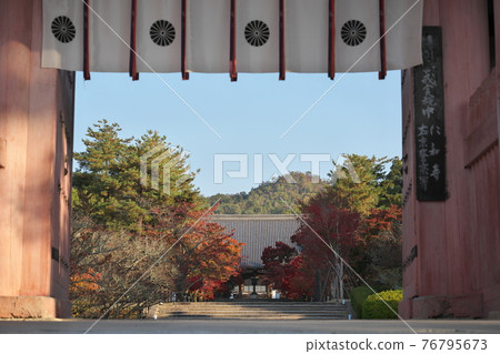 Ninnaji Temple Kyoto scenery Ninnaji Temple Kyoto scenery 76795673