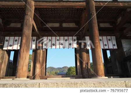 仁和寺京都風光 仁和寺京都風光 76795677
