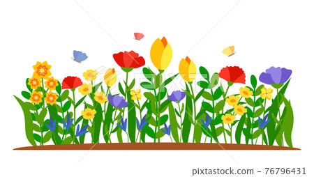 Summer border flower butterfly flat grass vector Summer border flower butterfly flat grass vector 76796431