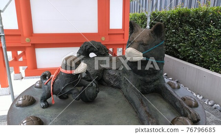 戴著面具的小田犬(東京水天宮) 戴著面具的小田犬(東京水天宮) 76796685