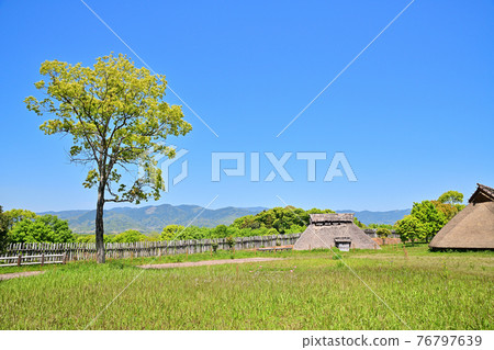 佐賀縣吉野裡歷史公園 佐賀縣吉野裡歷史公園 76797639