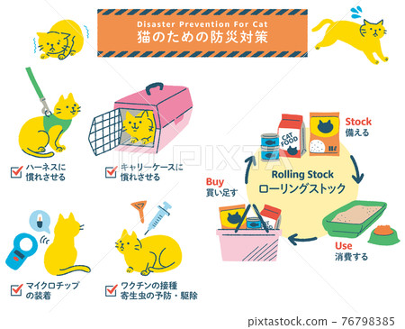 Cat disaster prevention measures illustration set Cat disaster prevention measures illustration set 76798385