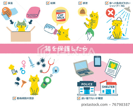 插圖設置為照顧貓 76798387