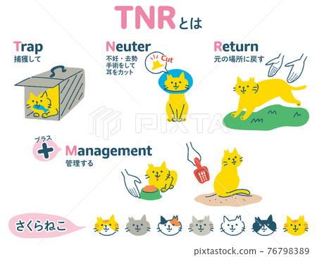 TNR 活動區域貓插圖集 76798389