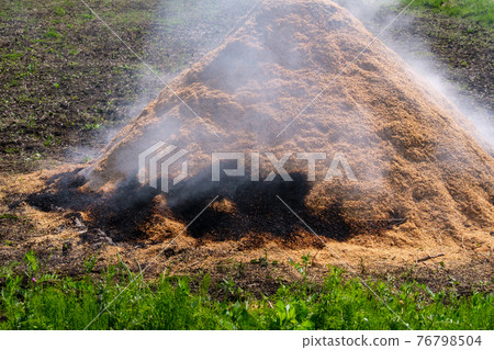 在領域的木炭 在領域的木炭 76798504