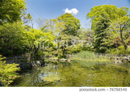 NabeshimōShotoPark 76798540