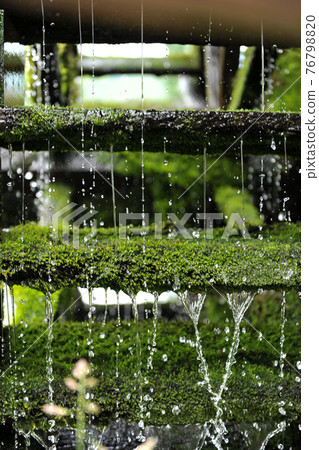 Water mill and green 76798820