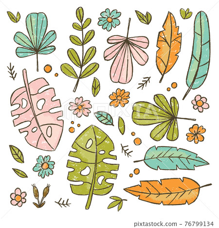 HAND DRAWN LEAVES Botanic Herbarium Nature Cartoon Clip Art Vector Illustration Set For Print HAND DRAWN LEAVES Botanic Herbarium Nature Cartoon Clip Art Vector Illustration Set For Print 76799134