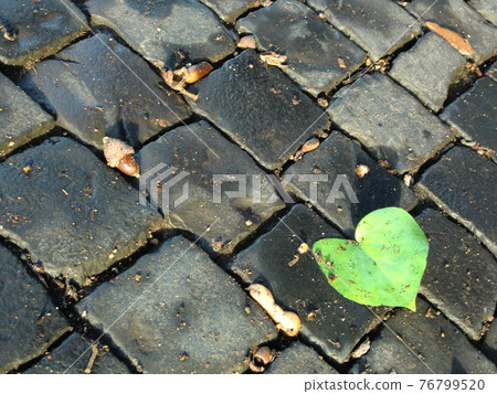 Cobblestone heart-shaped fallen leaves Cobblestone heart-shaped fallen leaves 76799520