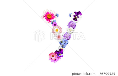 春天的花朵字母,字母表的小寫 y 春天的花朵字母,字母表的小寫 y 76799585