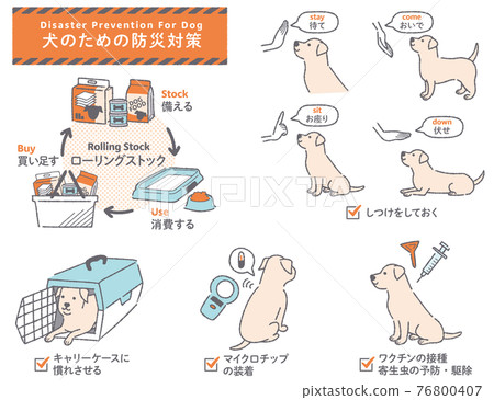 Dog disaster prevention measures illustration set Dog disaster prevention measures illustration set 76800407