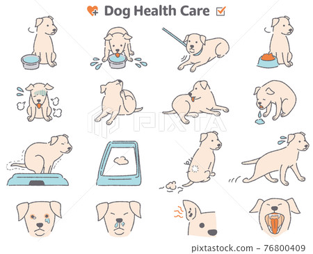 狗身體狀況症狀圖集 76800409