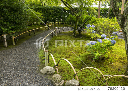 Tenryu花園 Tenryu花園 76800410